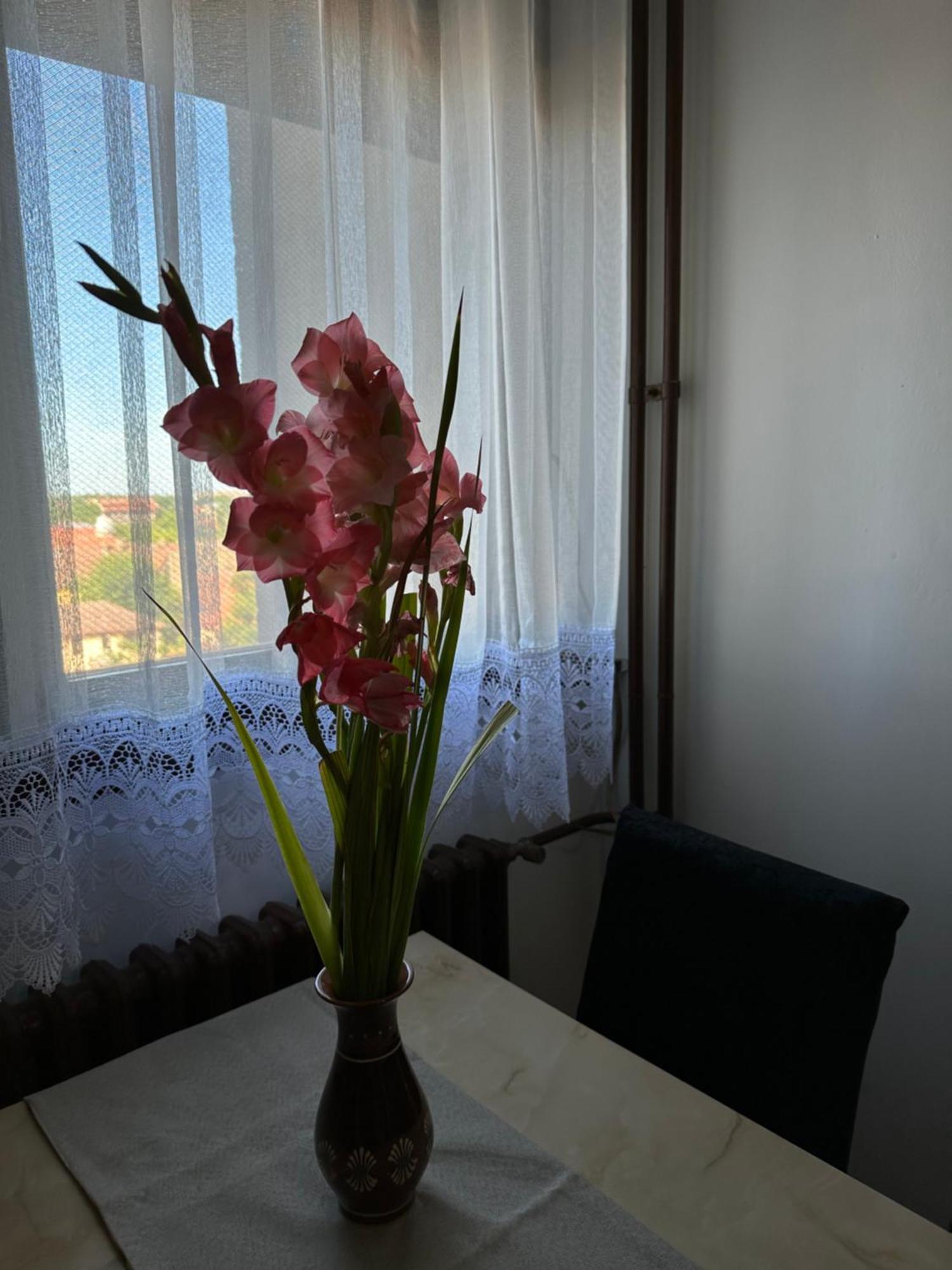 Tamaris Apartment Subotica Exterior foto